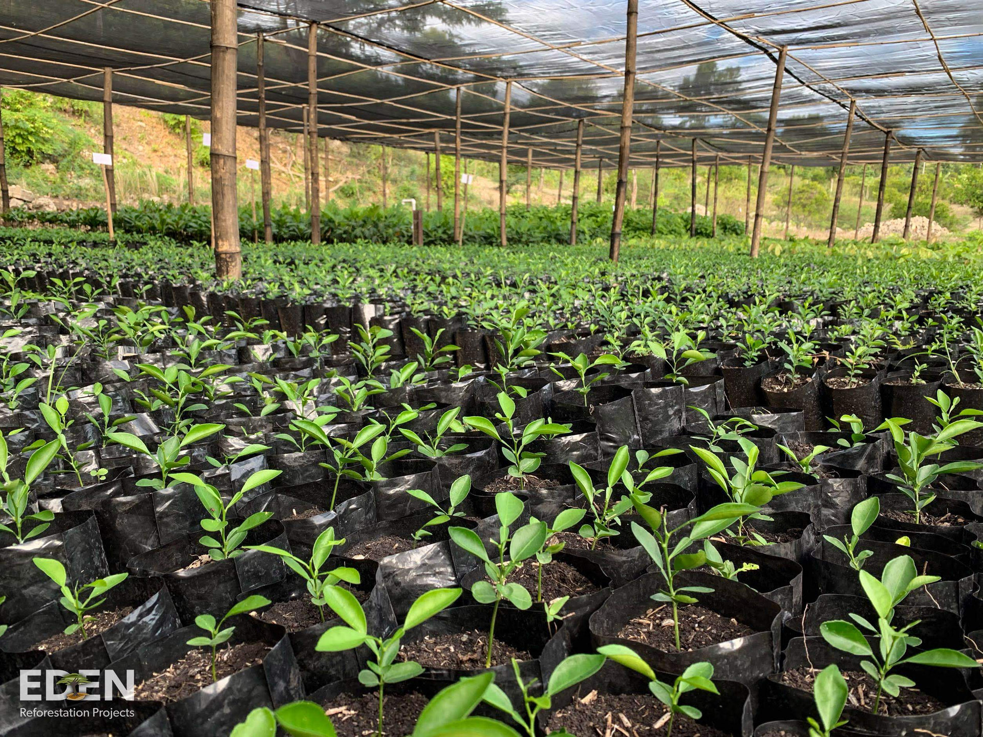 SEIS supports EDEN projects