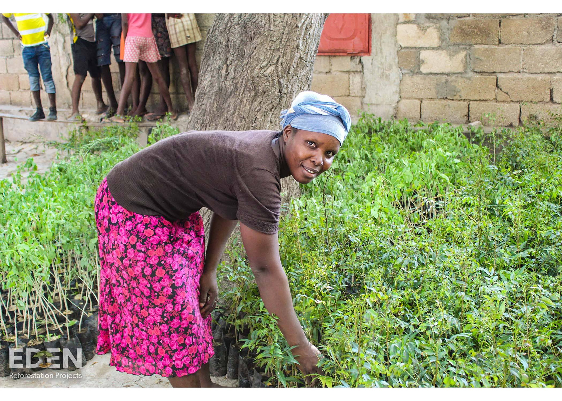 SEIS supports EDEN projects