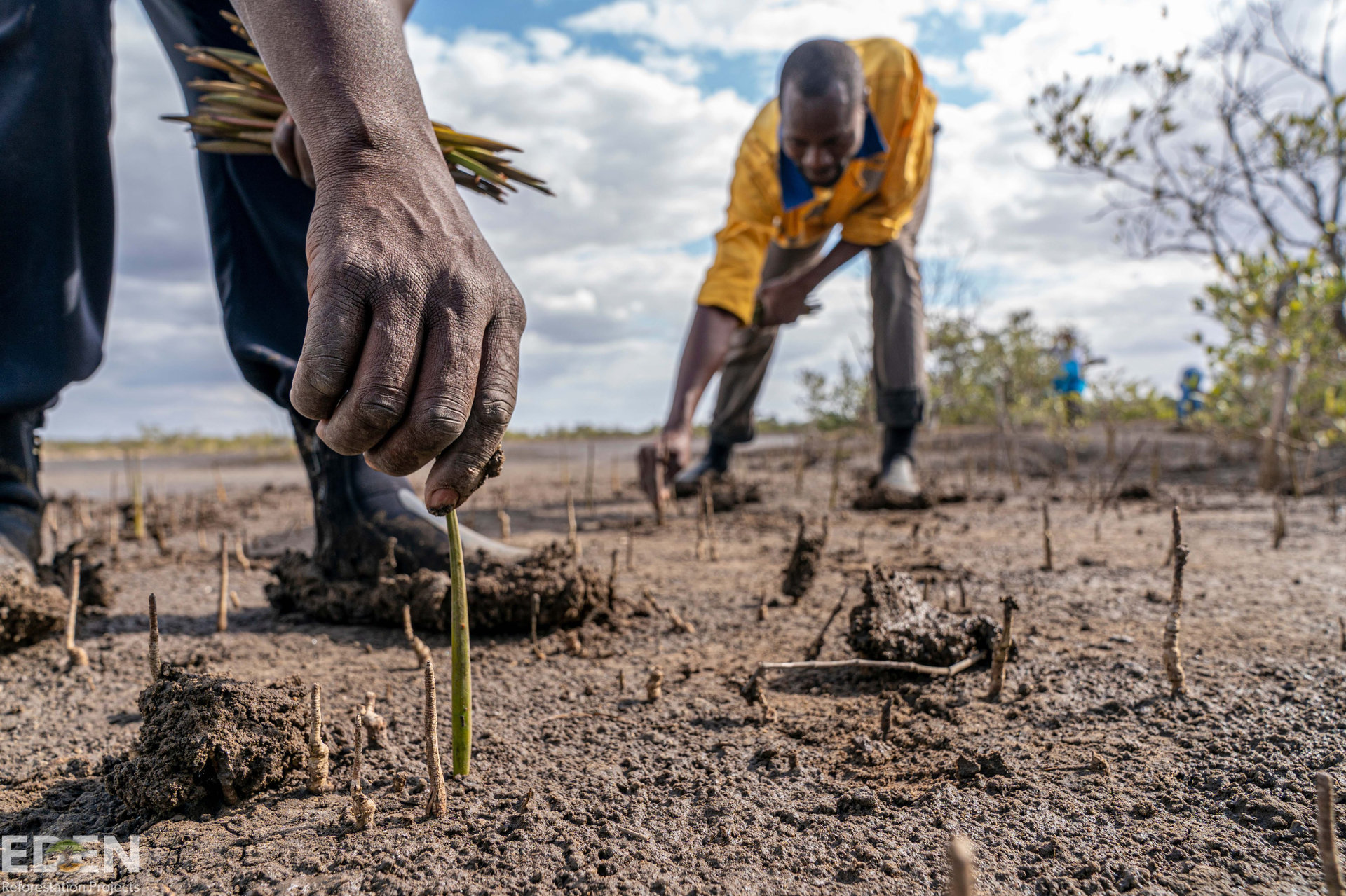 SEIS supports EDEN projects