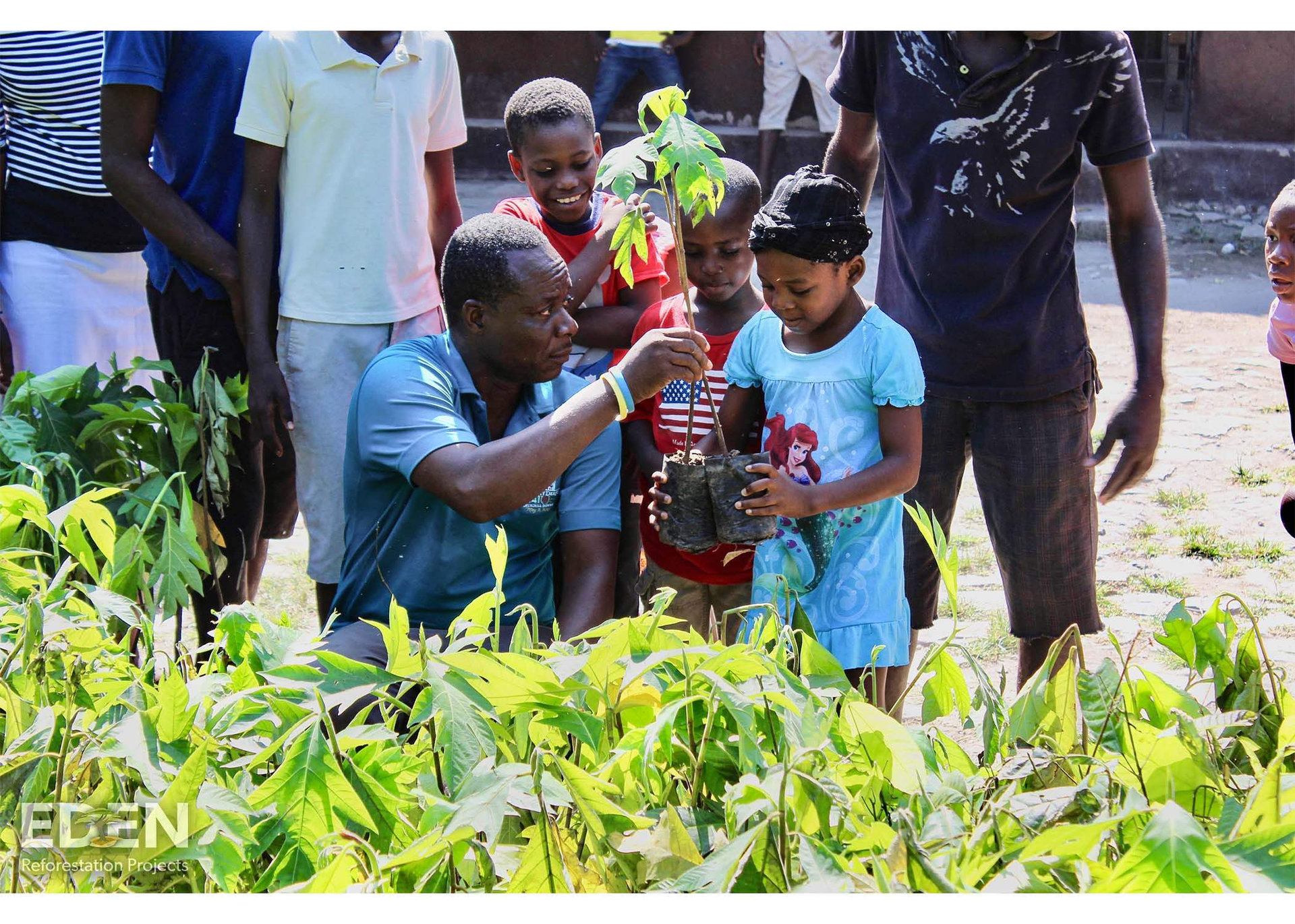 SEIS supports EDEN projects